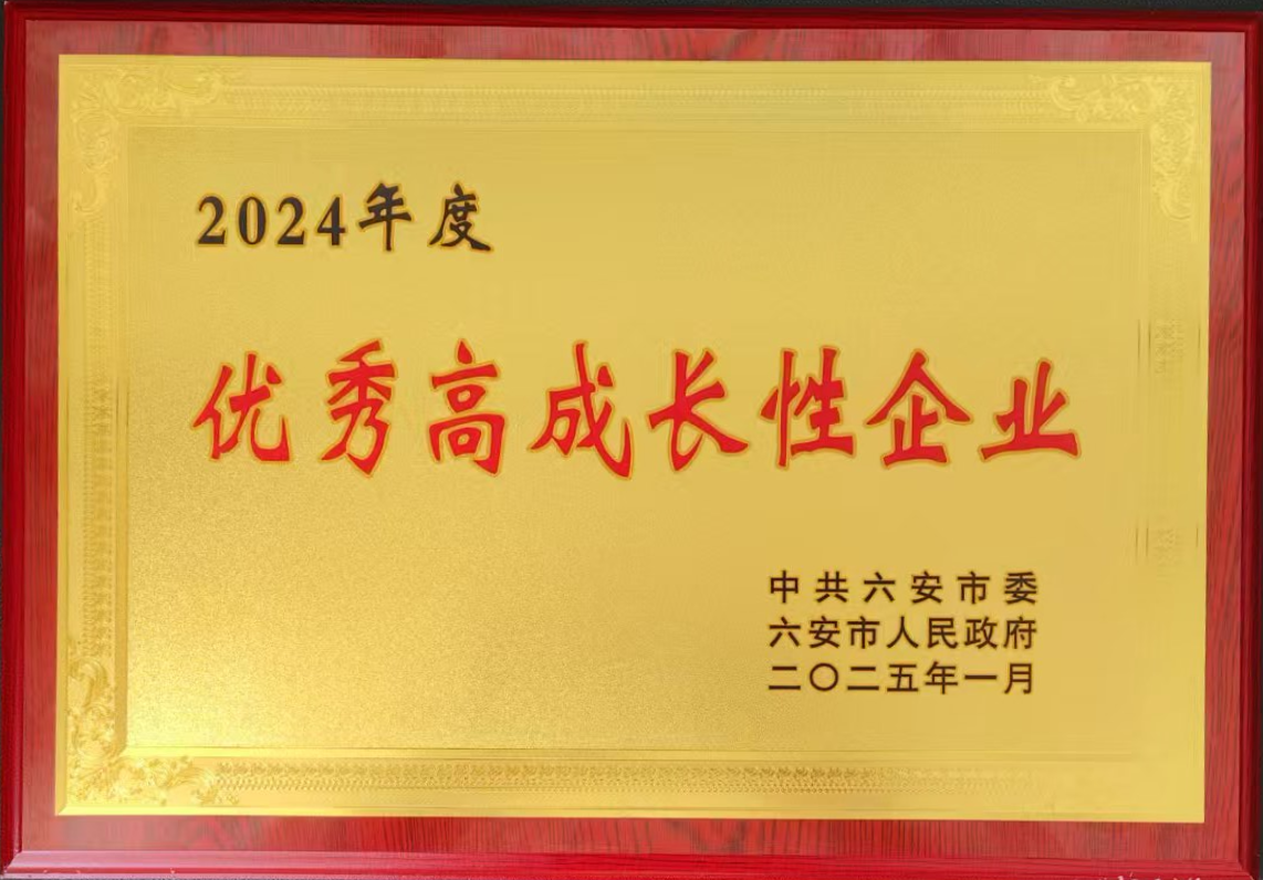 六安鑄造優(yōu)秀高成長(zhǎng)性企業(yè).png