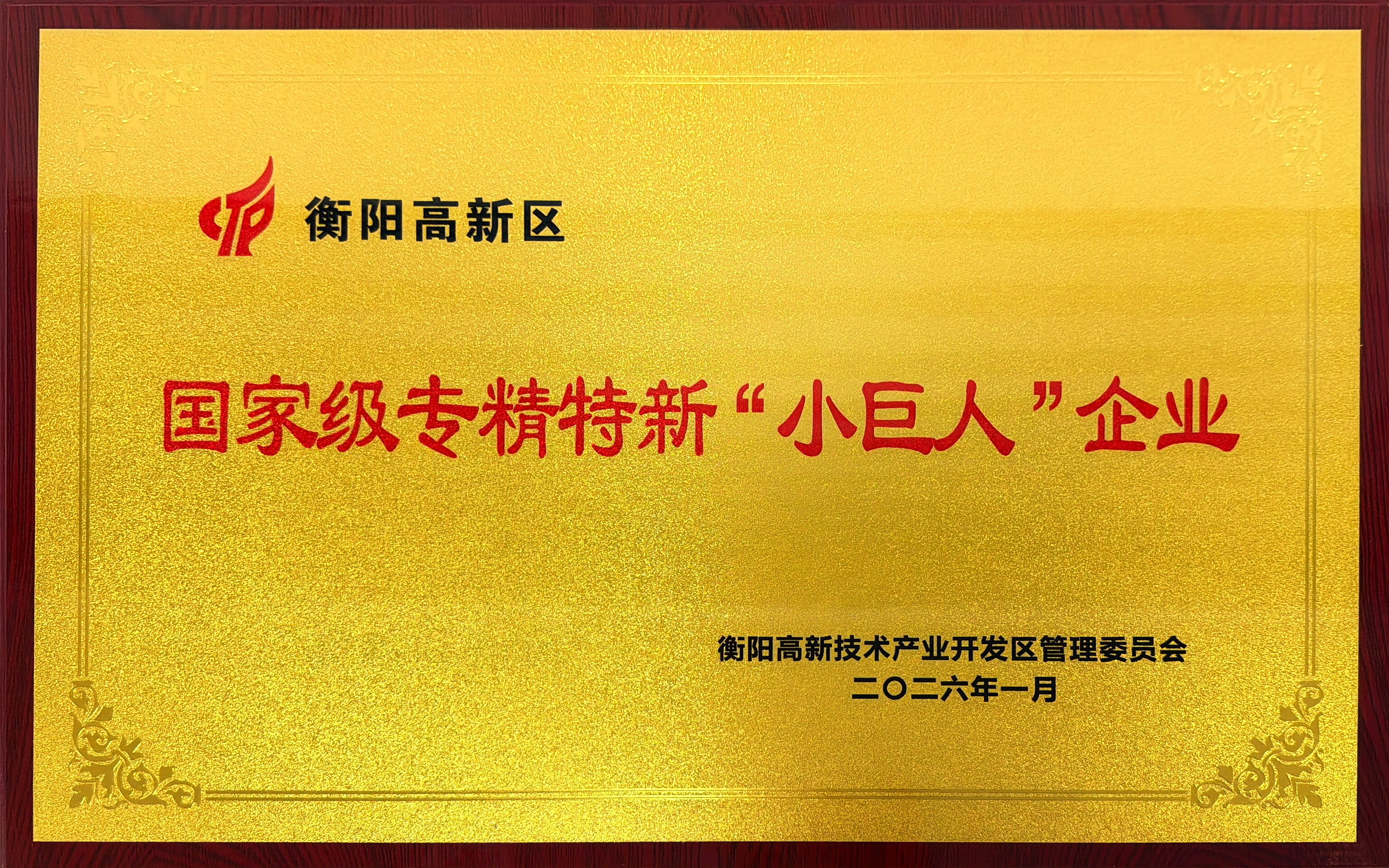 國(guó)家小巨人企業(yè)牌匾.jpg